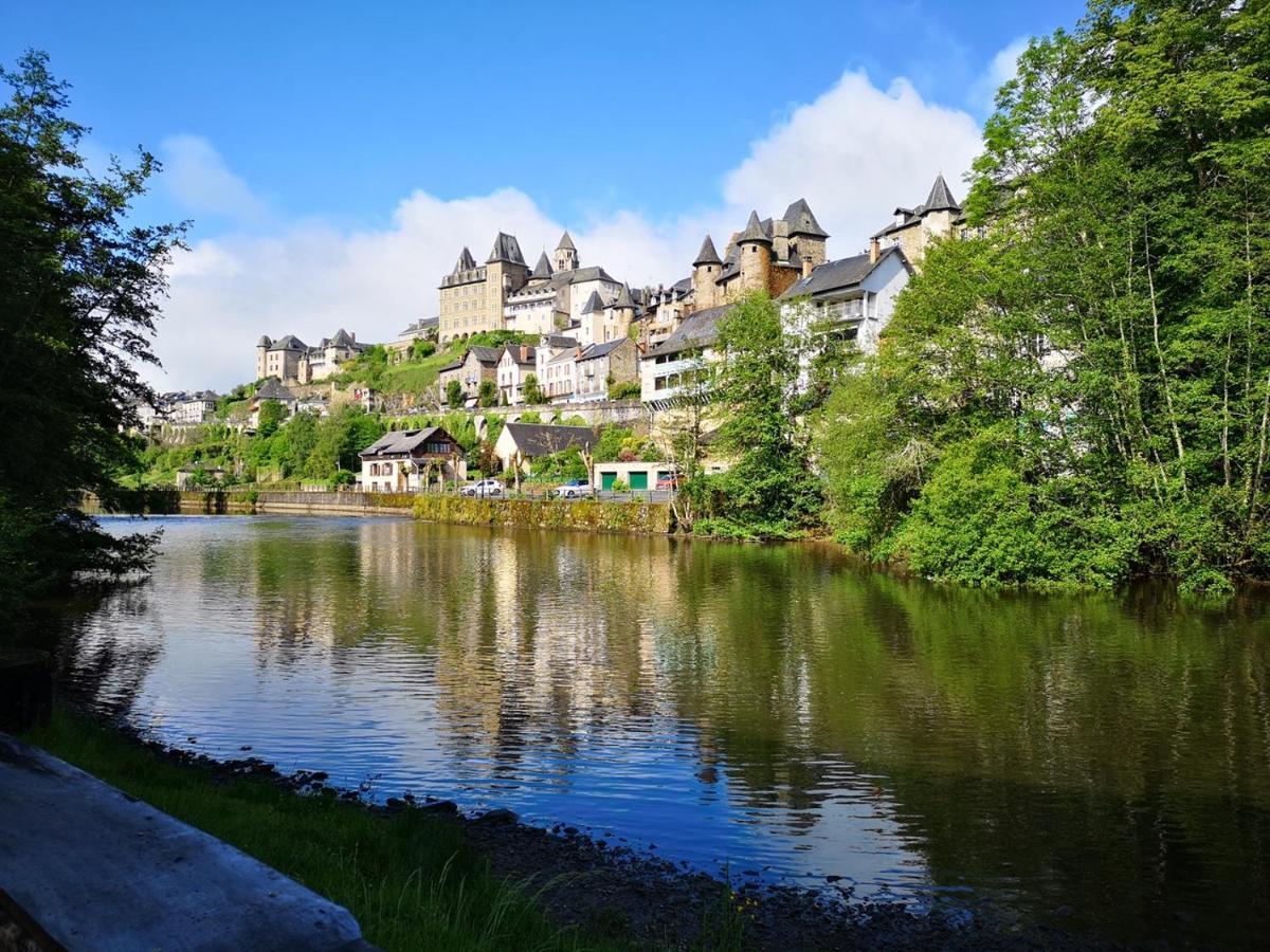 Les Gites Du Gauliat Espartignac Esterno foto
