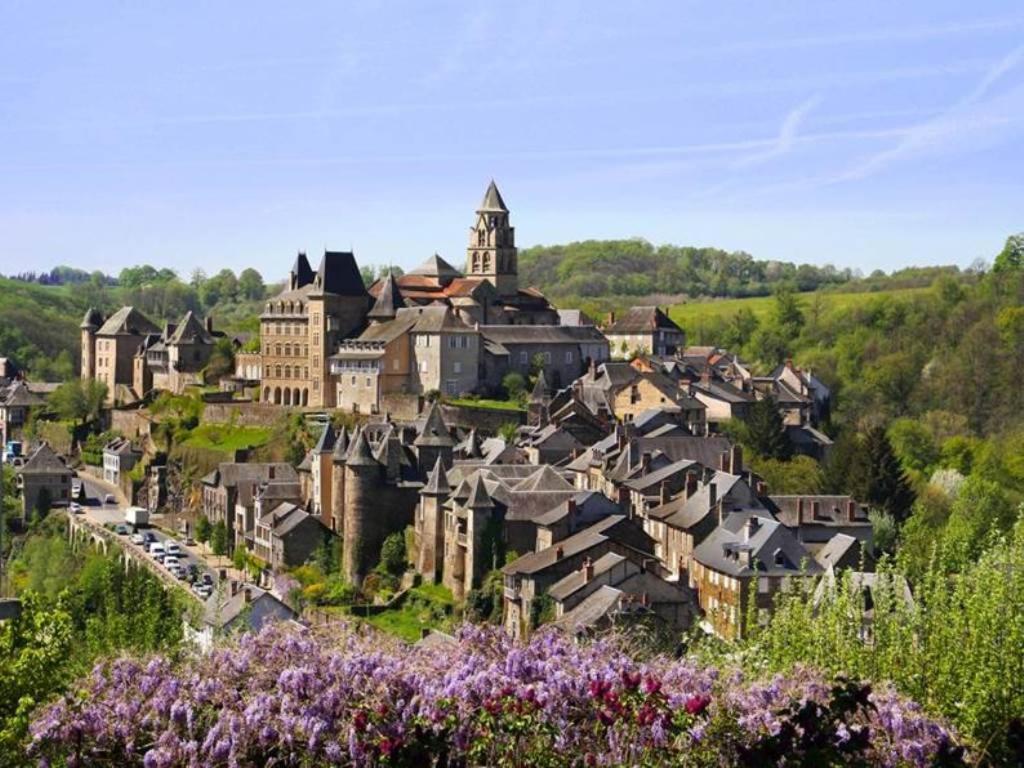 Les Gites Du Gauliat Espartignac Esterno foto