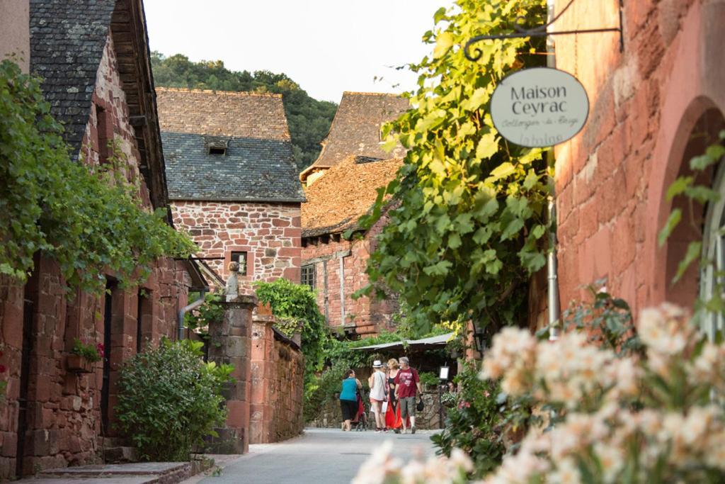 Les Gites Du Gauliat Espartignac Esterno foto